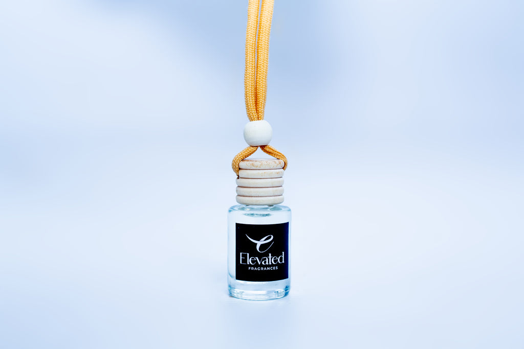 Citrus & Coconut Car Diffuser